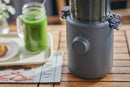 Mini Slow Juicer - H310A Series - Anthracite