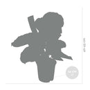 Calathéa Médaillon – Plante d'Intérieur