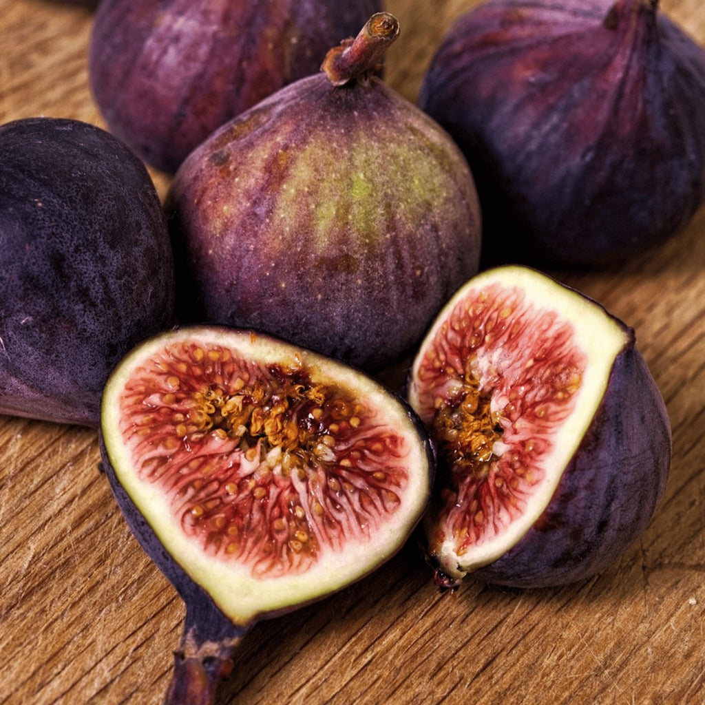 Higuera - Ficus Carica