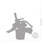 Maranta Silverband – Plante D'Intérieur