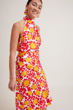 Top Charlotte Red Sun