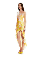 Robe Valentina Wild Roses