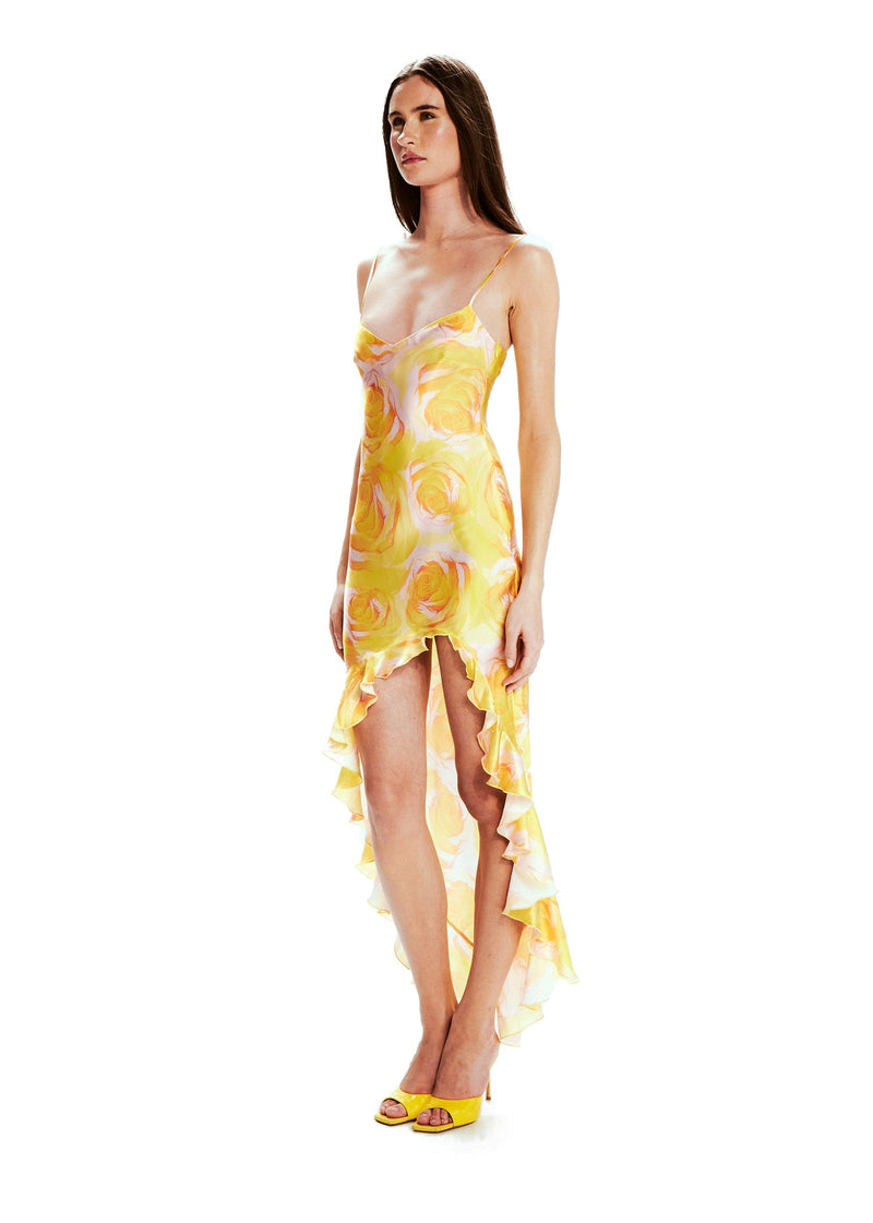 Valentina Wild Roses Dress