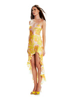 Robe Valentina Wild Roses