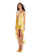 Valentina Wild Roses Dress