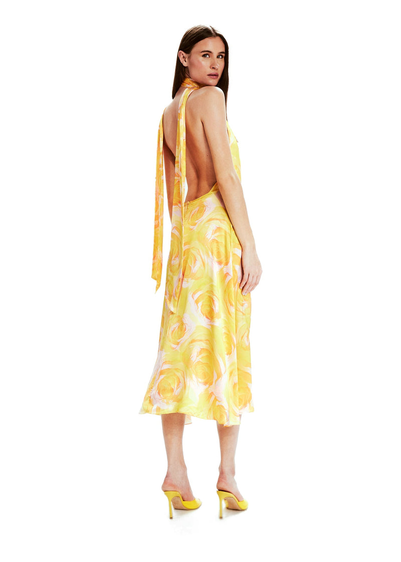 Vestido Camilla Rosas Silvestres