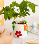 Home Pottery Kit