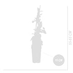 Lot De 2 Chèvrefeuilles Des Bois – Plante D'Extérieur
