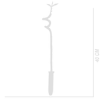 Set of 5 Dracaena Sanderiana – Houseplant