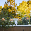 Guirnalda con cable E27 - Hawaii Light conectable