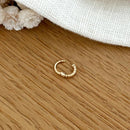 Gold Plated “Paco” Ear Piercing