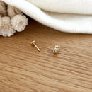 Piercing Oreille "Levy" Plaqué Or