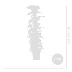 Epipremnum Aureum sobre tutor de musgo XXL – Planta de interior