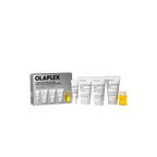 The Healthy Hair Discorvery Set