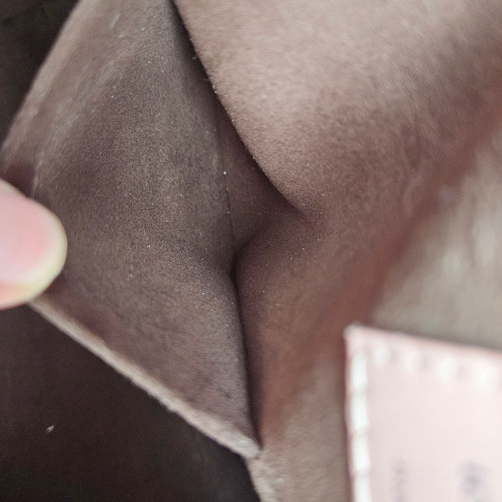 Louis Vuitton Cluny BB Epi Leather Bag