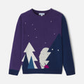 Pull Avec Manches - Violet - Garçon