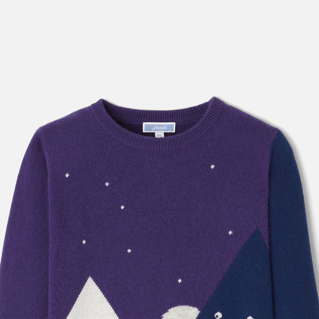 Pull Avec Manches - Violet - Garçon