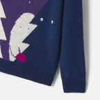 Pull Avec Manches - Violet - Garçon