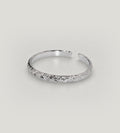 Palladinierter Ring Trishka