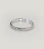 Palladinierter Ring Trishka
