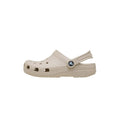 Zuecos Crocs Classic Clog K Junior - Minted