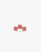 Coffret Luisa Rose