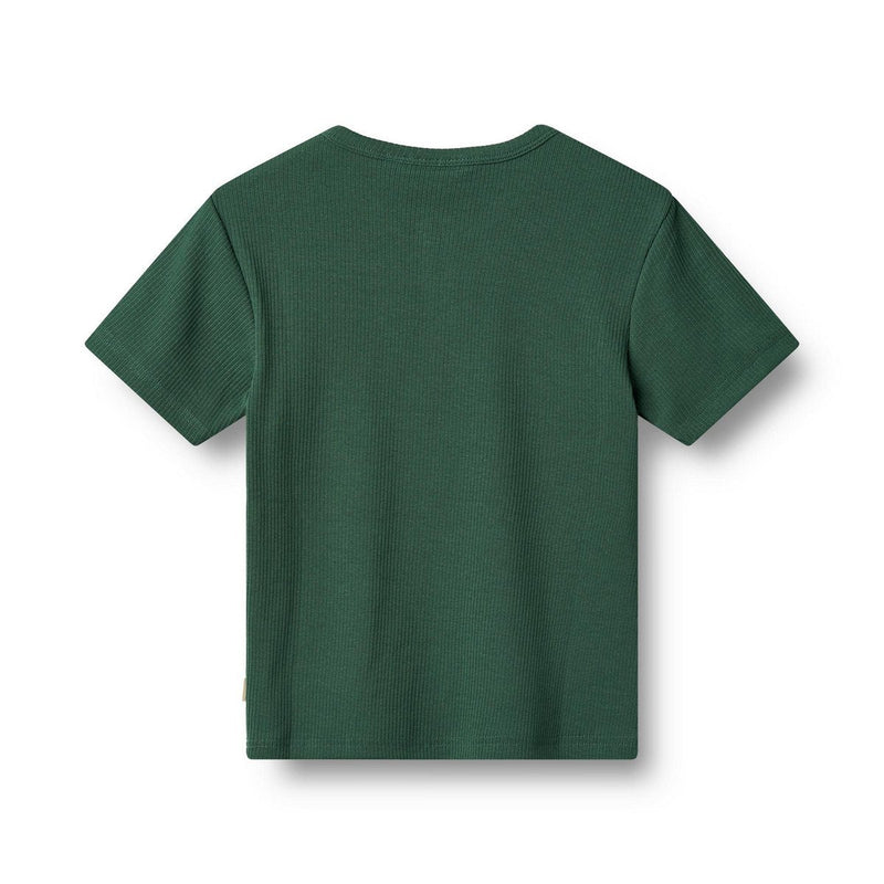 Trigo - Camiseta de manga corta Lumi - Junior