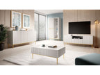 Kasha - 2-Door Display Cabinet - Gold Legs
