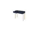 Kasha - 2 Drawer Console - Gold Feet