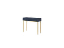 Kasha - 2 Drawer Console - Gold Feet