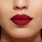 Barra de labios Color Riche Volumen Intenso Mate 480 Le Plum Dominant
