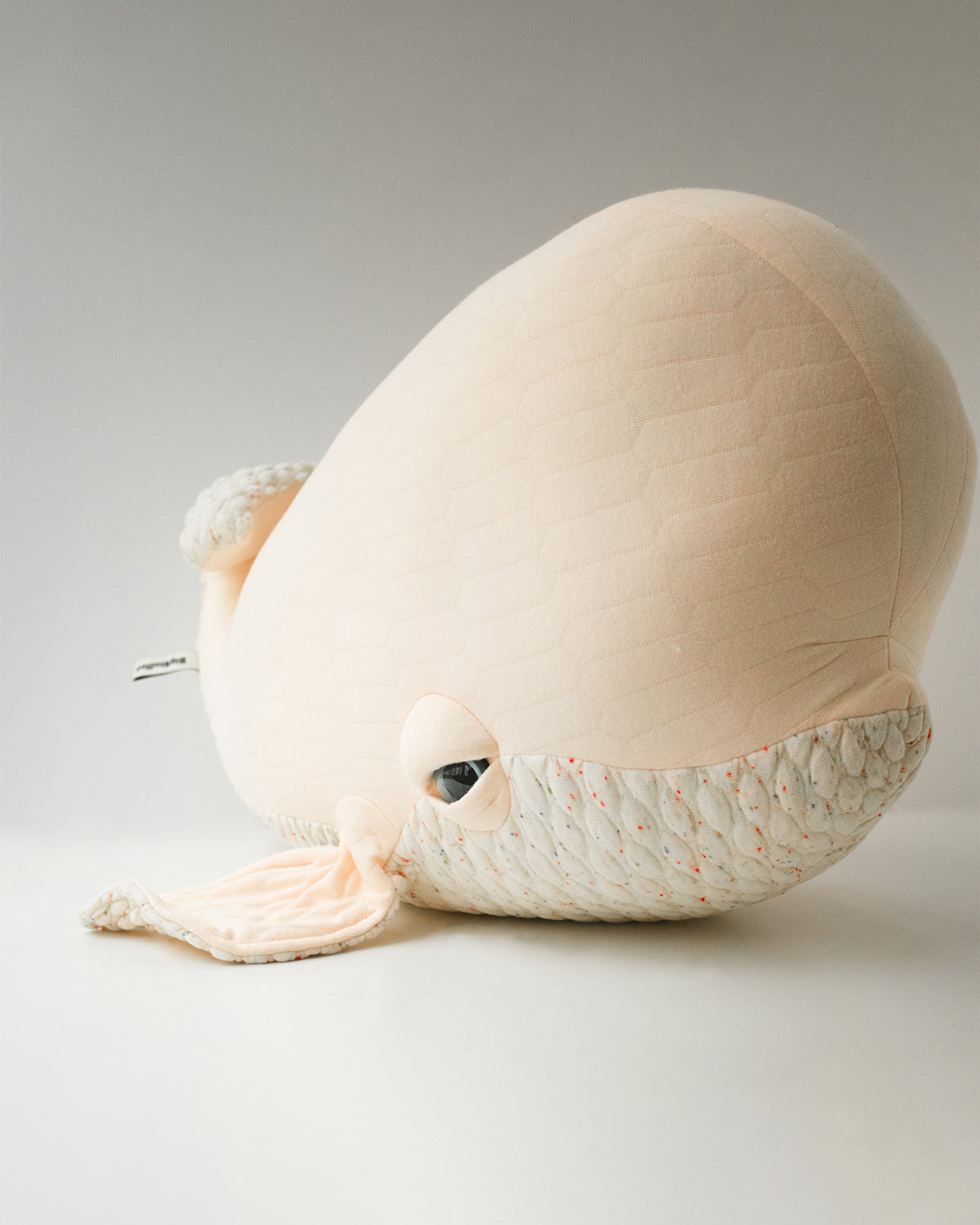 The Beluga