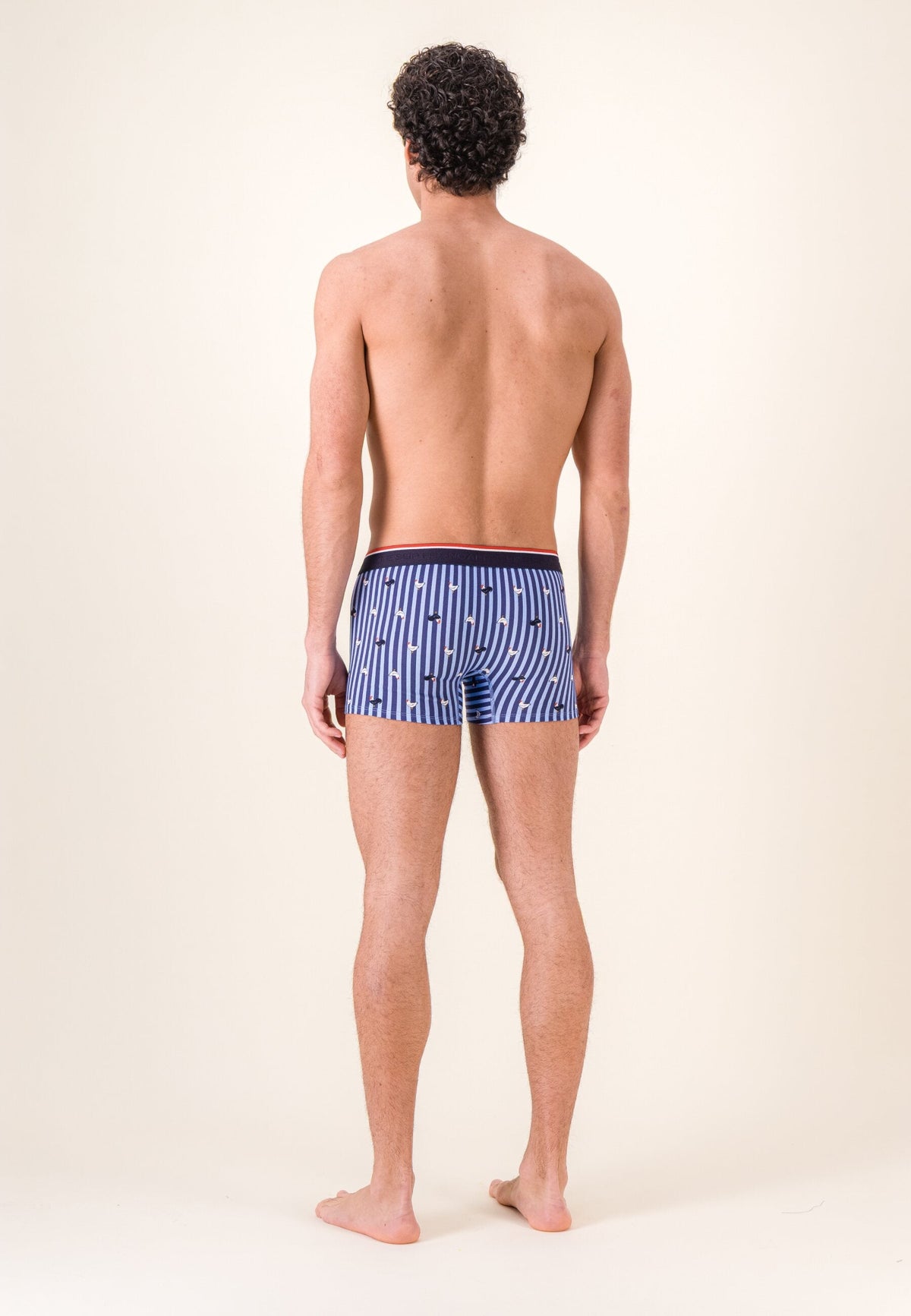 Marius Cotton Cockerel Stripe Boxers - Steel Blue