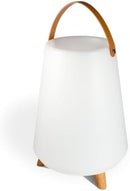 Speaker Rooftop Bluetooth, Led Lamp, Wine Cooler
