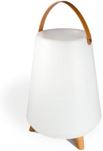 Speaker Rooftop Bluetooth, Led Lamp, Wine Cooler