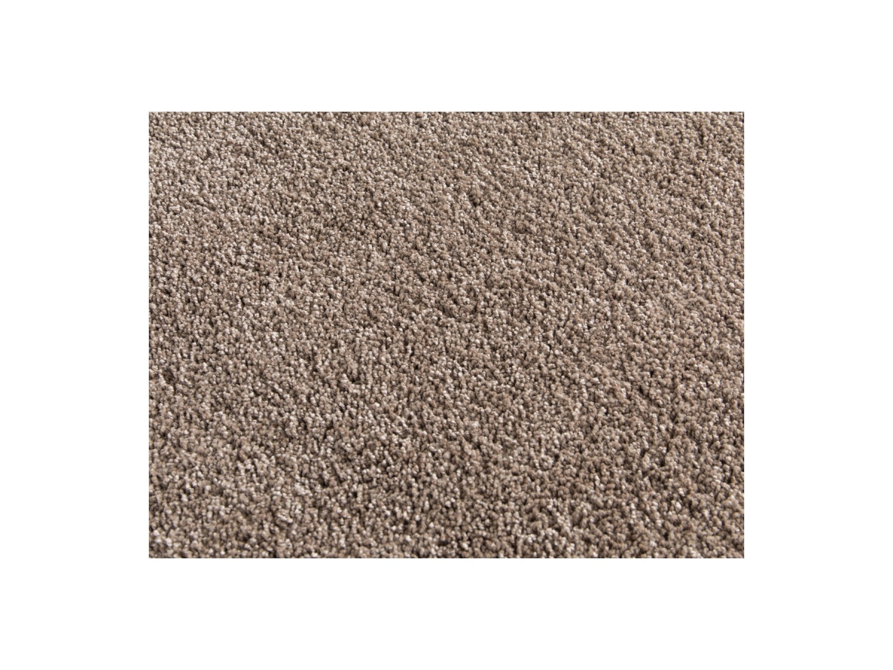 Mireille - Alfombra de pelo corto - Marrón