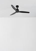 Wind Stylance - Ventilateur De Plafond Silencieux De 40W Avec Pales En Abs Technique - Noir