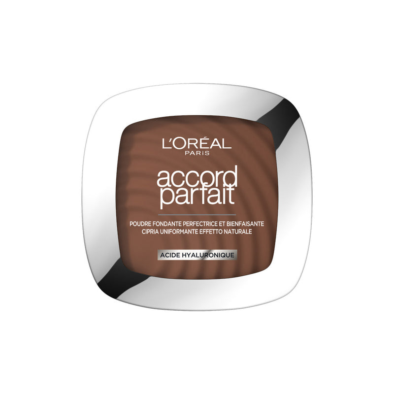 Perfect Match Mattifying Powder 11N Deep Coffee
