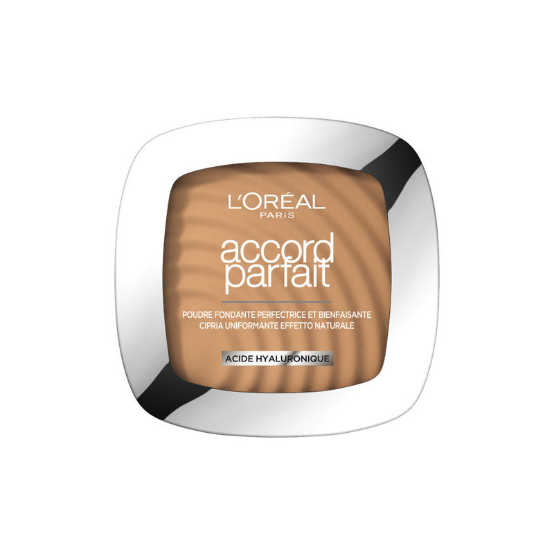 Perfect Match Mattifying Powder 6D Golden Honey