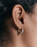 Dazz Earrings
