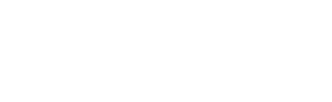 Logo ZYNE
