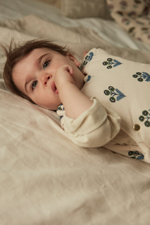 Gigoteuse Évolutive Plumbago