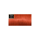 Color Preference 7.4 Dublin Intense Copper Mango