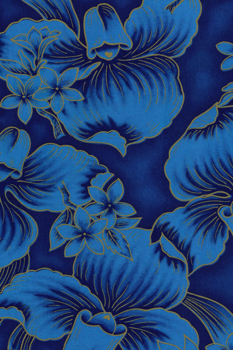 DARIO HONOLULU BLUE DRESS