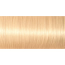 Préférence Coloration 01 Prague Blond Très Très Clair Naturel