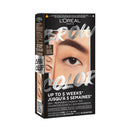 Brow Color 3.0 Dark Brunette
