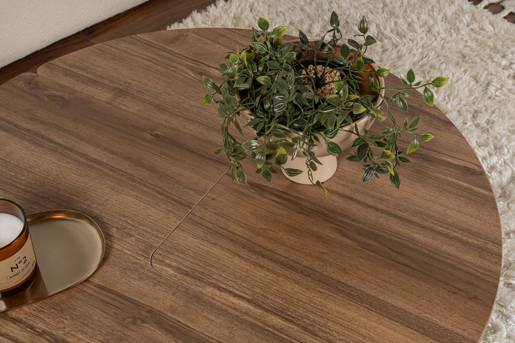 Moira - Coffee Table - Venezia Walnut