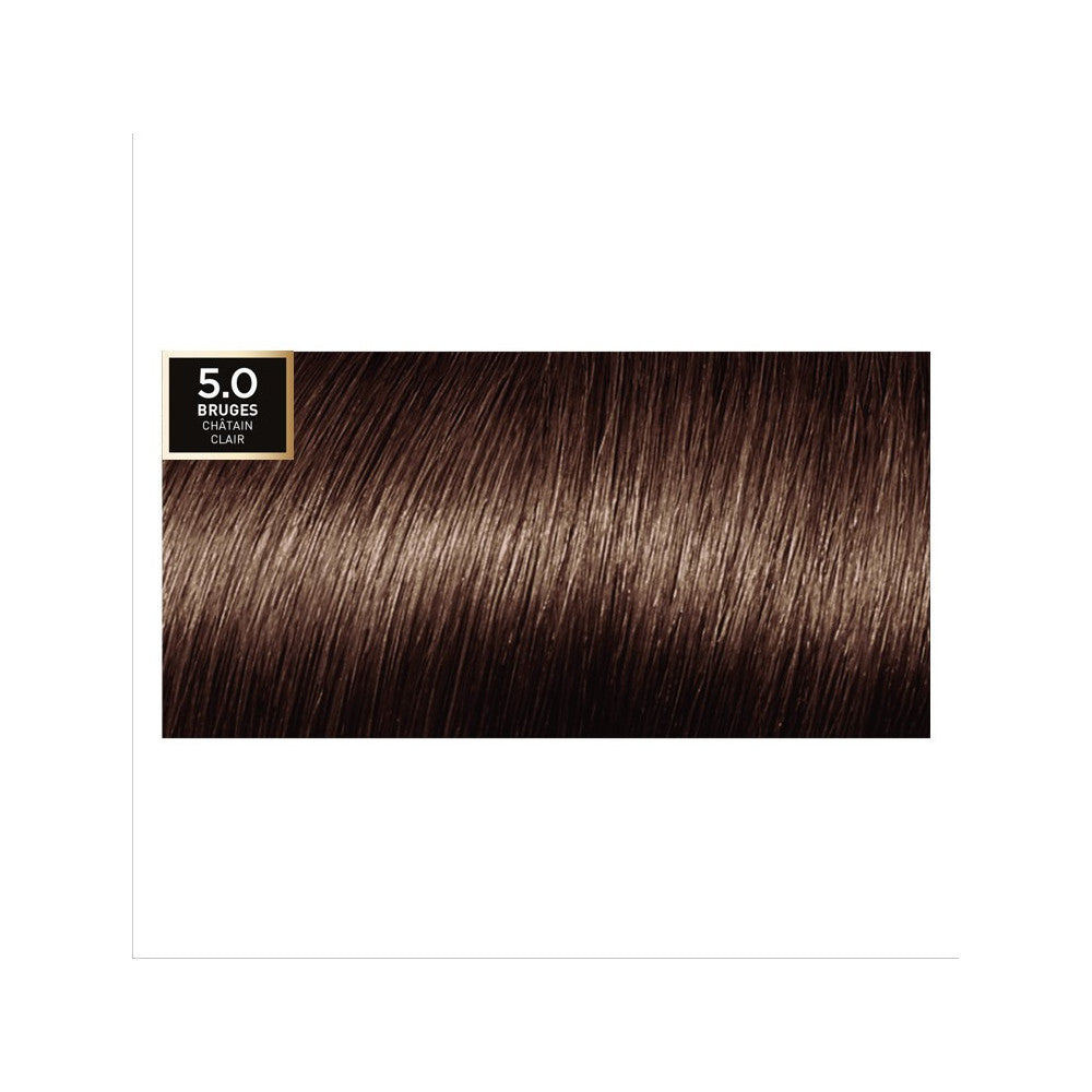 Preferencia de color 5.0 Brujas Marrón claro