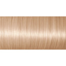 Color Preference 9.1 Oslo Very Light Ash Blonde