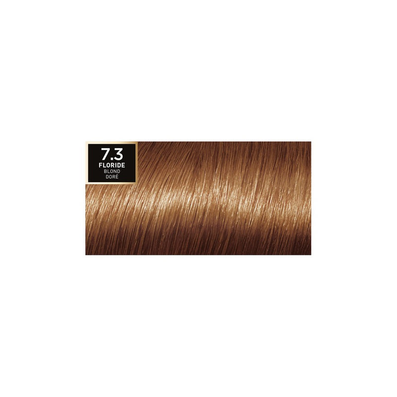 Préférence  Coloration 7.3 Floride Blond Doré